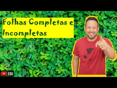 Complete and Incomplete Leaves (Ochreous, Invaginant and Sessile) - Types of Leaves - Plant Morph...