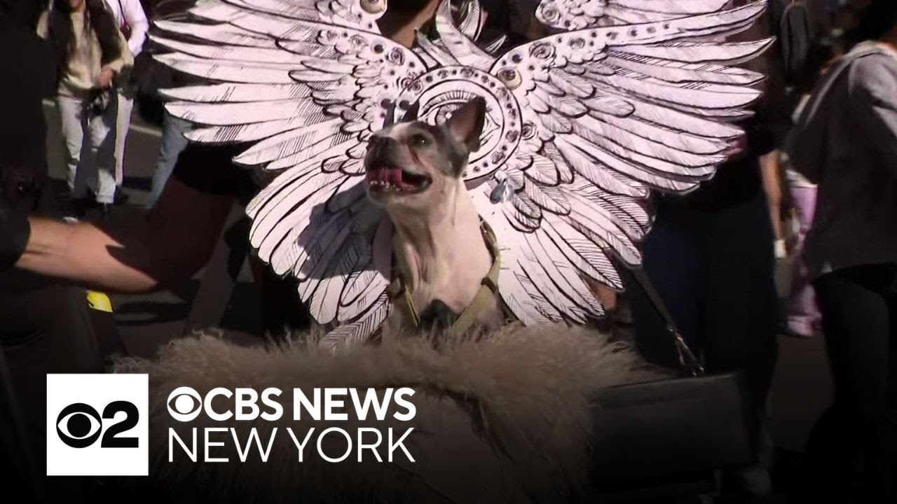 34th Annual Tompkins Square Halloween Dog Parade held in NYC's East Village