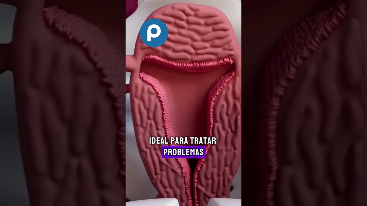 Inofolic HP con 60 Cápsulas