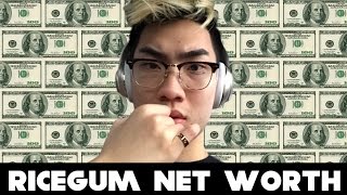 RiceGum Net Worth & Biography 2016 | YouTube Earnings