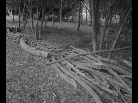 Hipertexto 45 - Muestra Fotográfica Filminuto.