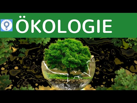 What is ecology?! & Basic principle of ecology | Ecology