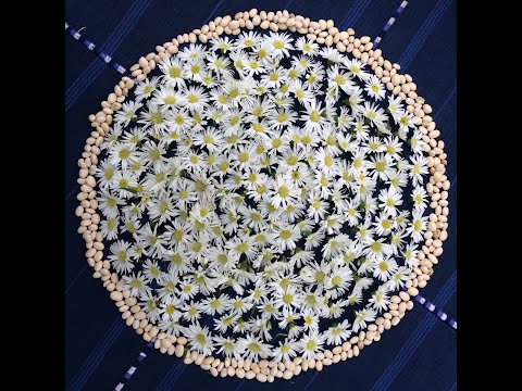 Ofrenda a La Luna / Offering to the moon