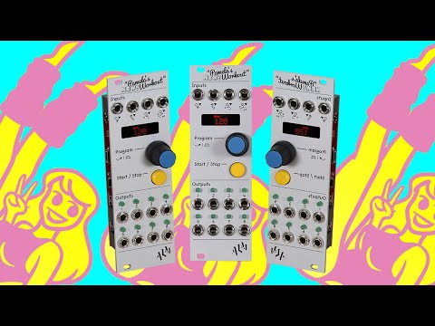 ALM/Busy Circuits ALM017 Pamela's NEW Workout Master Clock & Modulator Eurorack Synth Module 2017 - Present - Silver image 2