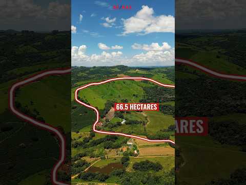 Fazenda Santa Lúcia à venda em São Sebastião do Paraíso  Mg, exclusividade bem ao lado de Termopolis