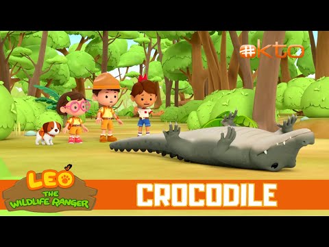 Why is the CROCODILE upside down? | Leo the Wildlife Ranger Spinoff S3E11 | @mediacorpokto
