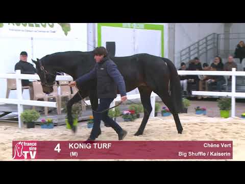 4 - Konig Turf - Big Shuffle / Kaiserin - Haras du Chêne Vert