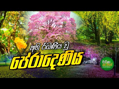 Beauty of University of Peradeniya