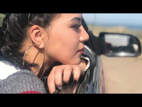 Bonanza Twin - Scrape Along [Official Music Video]