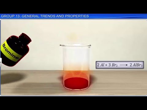 CBSE Class 11 Chemistry || The p Block Elements || Full Chapter || By Shiksha House