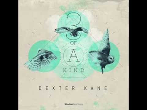 Dexter Kane - Work that