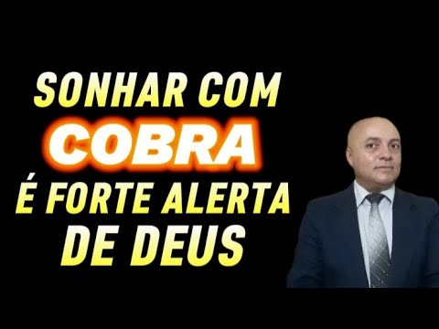 7 SIGNIFICADOS DE SONHAR COM COBRA.