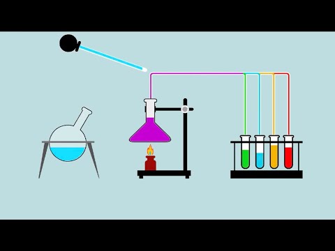 Laboratorio virtual No 10: Determinación de Proteínas