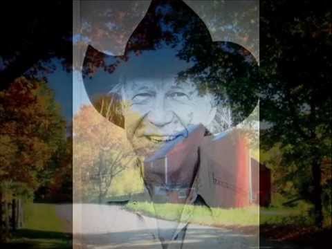 Down the Road by the Way - Billy Joe Shaver