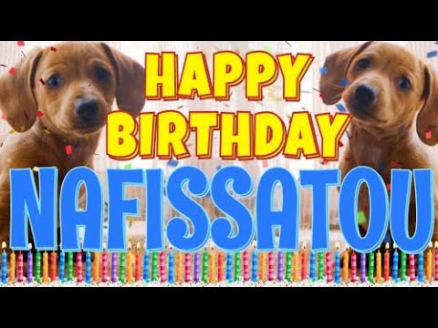 Happy Birthday Nafissatou! ( Funny Talking Dogs ) What Is Free On My Birthday