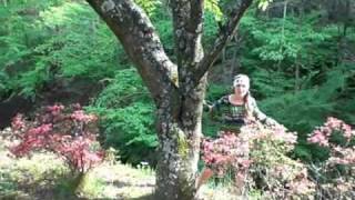 Flight of the Conchords - Prince of Parties Nihongo