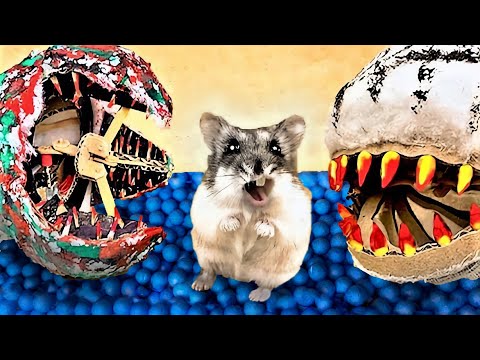 🐹 MONSTERS Hamster Maze with Traps 😱 [OBSTACLE COURSE] 😱
