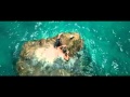 The Shallows Official Teaser Trailer #1 2016   Blake Lively Movie HD