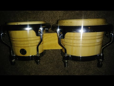 Latin percussion mini bongos