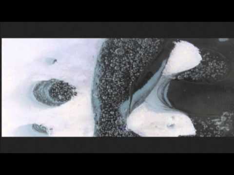 clip 4 from Chasing Ice