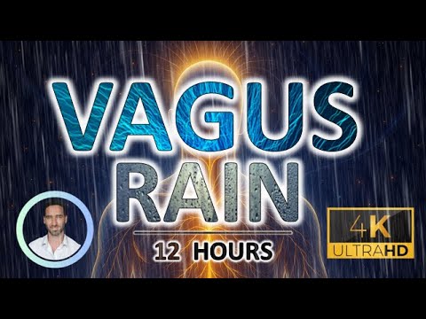 Soothing Vagus Nerve Rain | Cortisol Flushing Noise | 12 Hours | Sleep, Focus & Tinnitus Relief