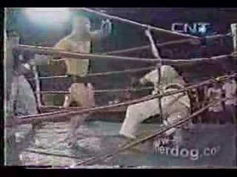 Royce Gracie Vs Vanderlei Silva