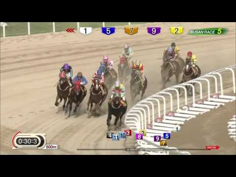 170630 Busan R5 1000m