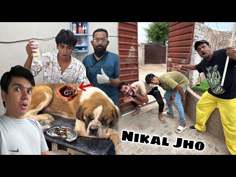 Ranjha Dog Ky Pet Mein Hole Ho Gea 😨 Mamu Ny Subhan Ko Nikala Zoo Sa 🥹