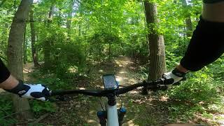 Alpha - Specialized Status - Griffin Bike Park - Indiana