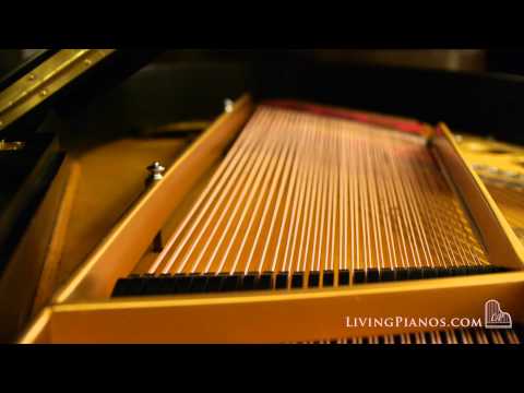 Steinway Model O Grand Piano for Sale – Serial #209075 – Best Used Pianos