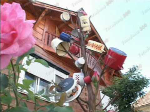 Cazare Vadu Izei - Pensiunea Teleptean Ileana, Maramures.