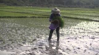 preview picture of video 'balade en vélo Tonggu Qintou 023'