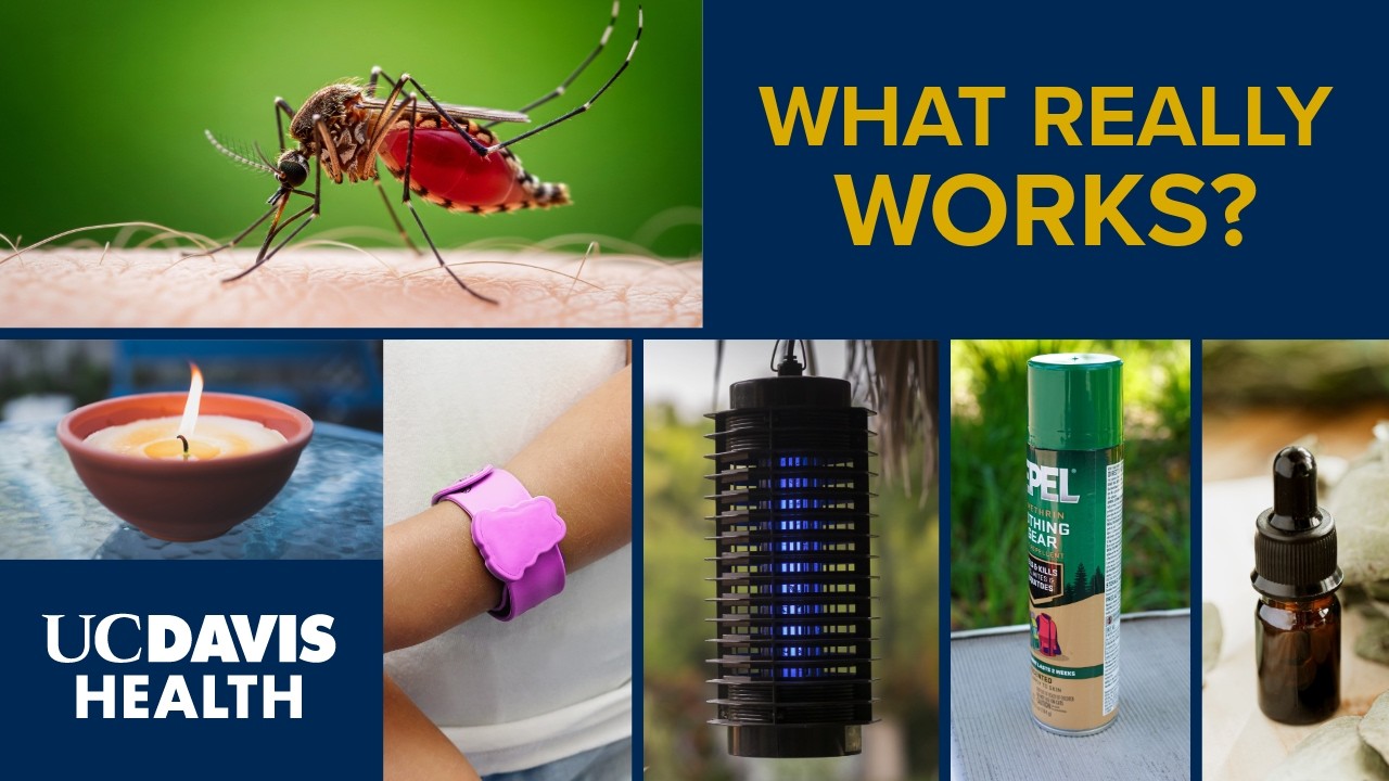 Thumbnail preview of Mosquito Repellent: What Works and What Doesn't?
