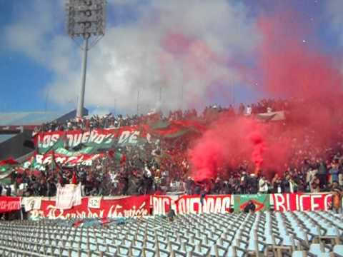 "Rampla Juniors- Lbdc" Barra: La Banda del Camion • Club: Rampla Juniors