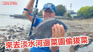 【淡水河釣魚】來去淡水河邊菜園偷拔菜｜蝦皮愛釣魚