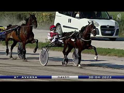 Aversa trotto 30 Aprile 2022 - 6° Corsa