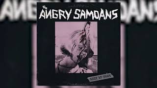 The Angry Samoans - Inside My Brain [FULL ALBUM 1980]