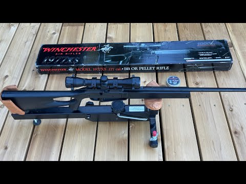 1977XS Winchester .177 review, sight in \u0026 egg target blast!