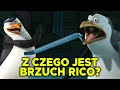 Pingwiny Z Madagaskaru Rico Ciekawostki