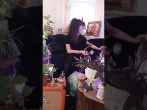 SanTra goes KulturQuarantäne