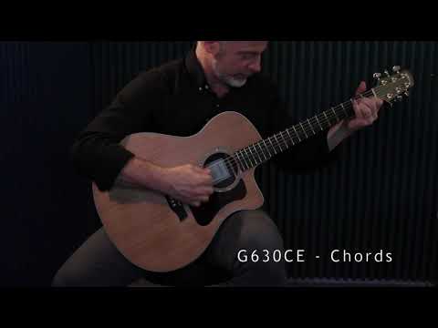 Пример звучания электроакустической гитары Walden G630CE