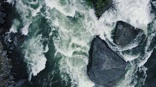 Disciple Maker - Fall 2017