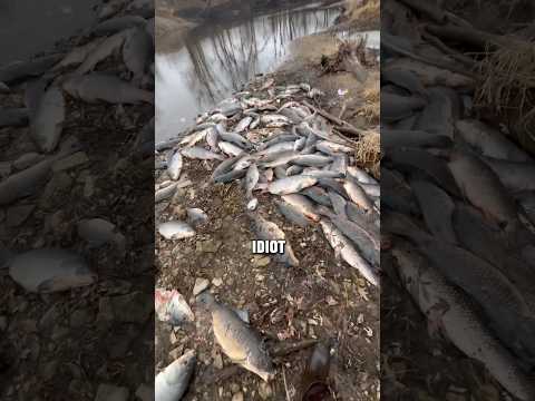 Bowfisherman Destroyed this River