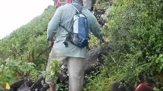 Southeast Peninsula Extreme Exploration &#39;Sink or Swim 2 2