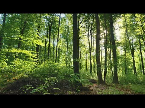 Happy Earth Day 2023!