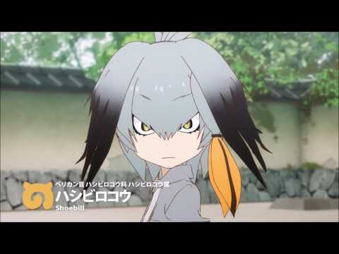 Le Dos-On - Shoebill