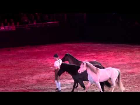 Equitana 2013 Festivallo Hoptop show ponnioppvisning