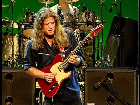 Pottok Rodeo (J.M.Ecay)