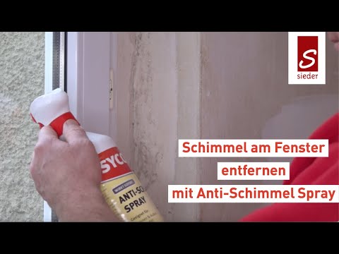 Schimmel am Fenster entfernen mit Anti-Schimmel Spray
