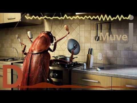 Hustle Gang - Hustle Gang Business ft. Ra Ra, Tokyo, T.I. & B.o.B